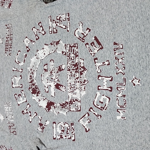 AMERICAN FIGHTER TRAINING DIVISION GRAY MAROON RAISED LOGO GRAPHIC CREW-NECK TEE - Picture 2 of 14